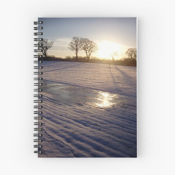 Item preview, Dalmeny Winter Sun designed and sold by Doug Cook.