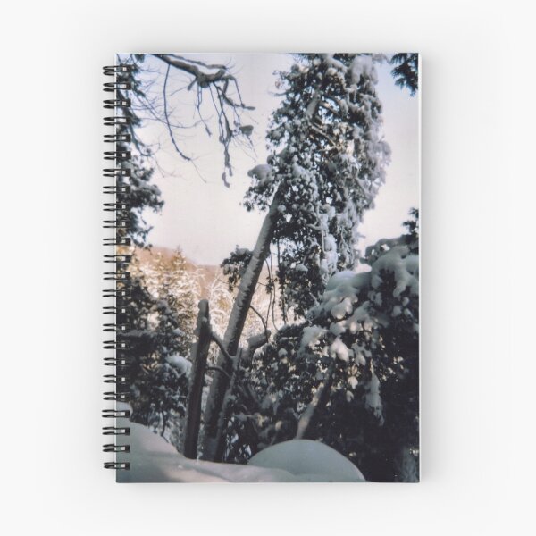 Item preview, Winter Along The Niagara Escarpment designed and sold by Barry W  King.