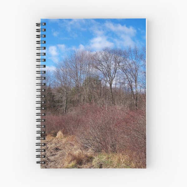 Item preview, Pocono Woodlands designed and sold by Dandelion Dilluvio.