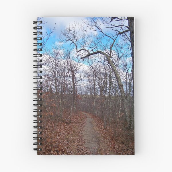 Item preview, Late Autumn Woodland designed and sold by Dandelion Dilluvio.