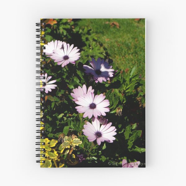 Item preview, Purple Daisies designed and sold by Jan  Tribe.