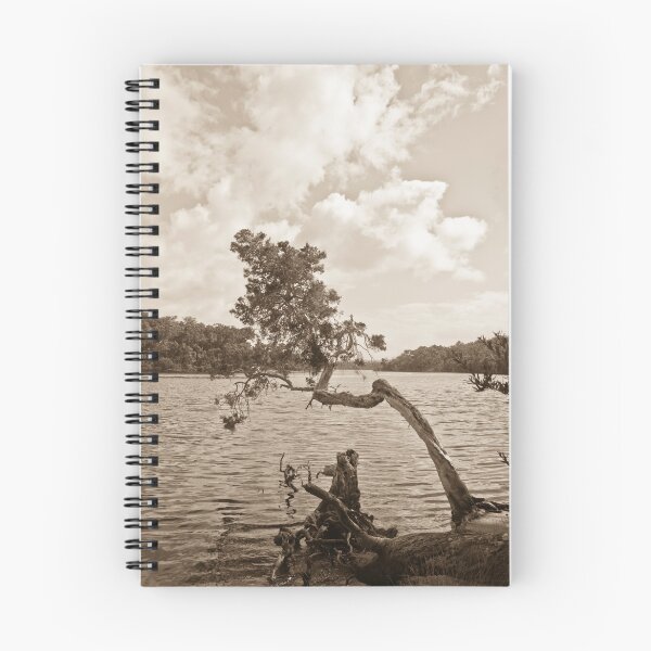 Item preview, Bonzai tree designed and sold by pennyswork.