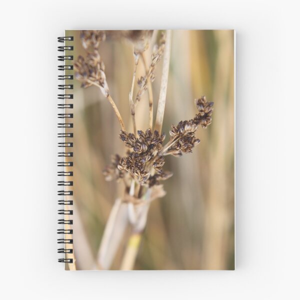 Item preview, Reeds. designed and sold by Rhys Davis.