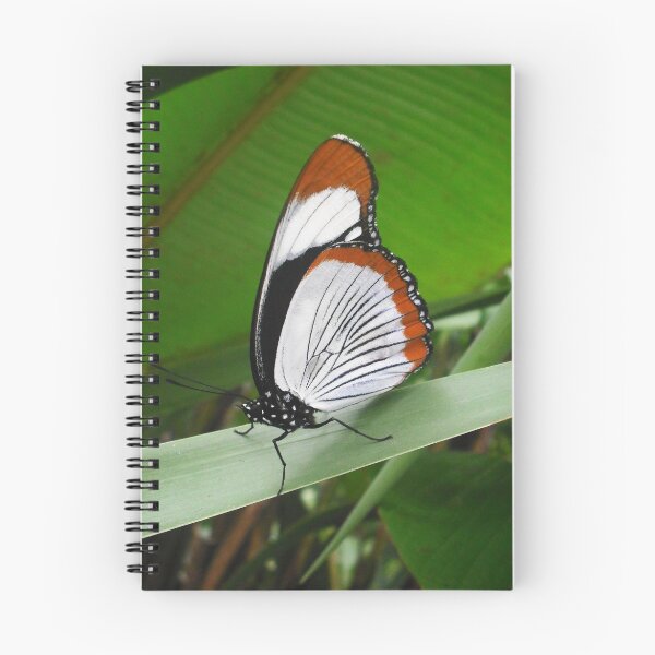 Item preview, Like Painted Wings designed and sold by Dawn B Davies-McIninch.