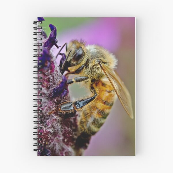 Item preview, Bee on purple flower designed and sold by Richard Majlinder.