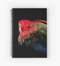 Red and Green Macaw Spiral Notebook