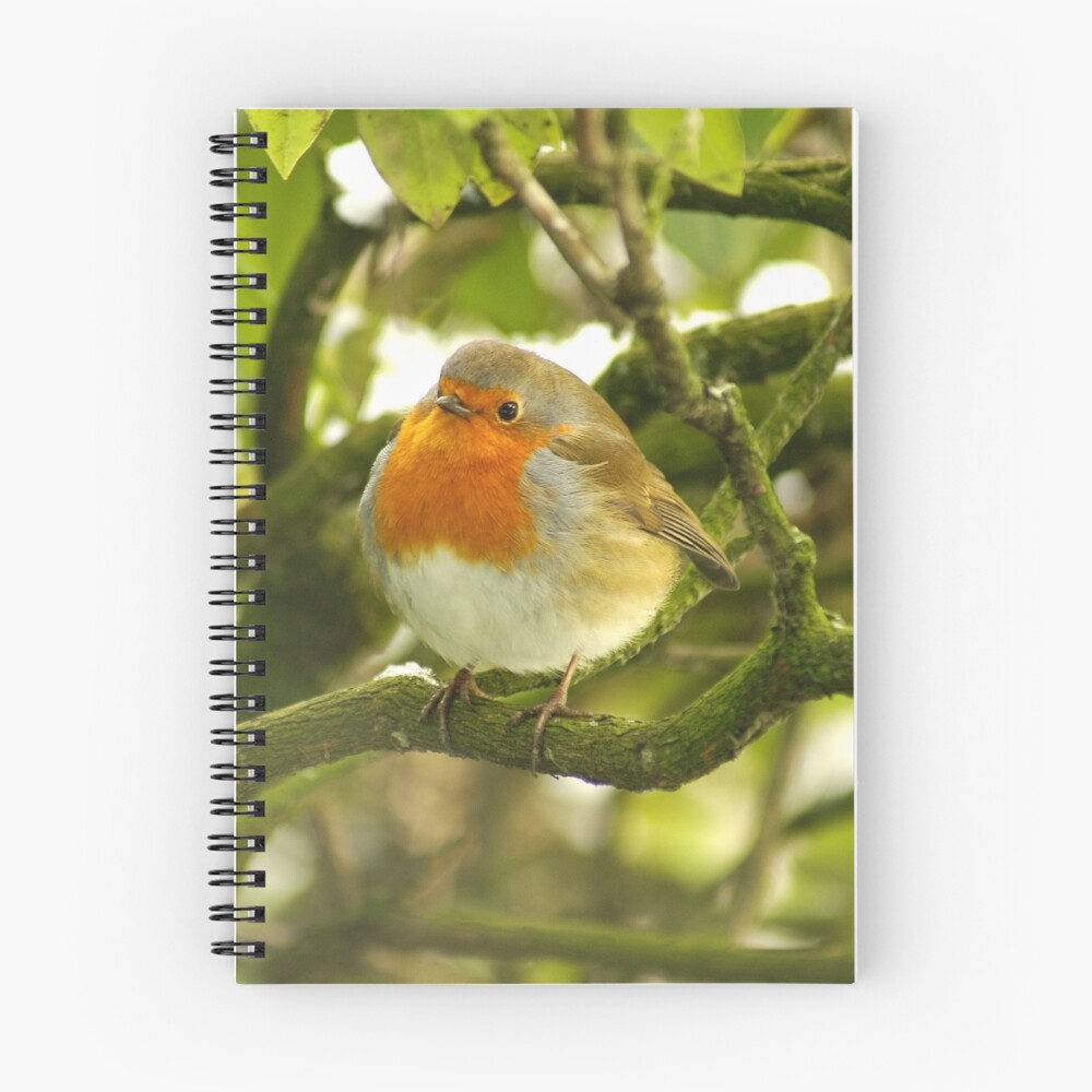 Item preview, Spiral Notebook designed and sold by jebus.