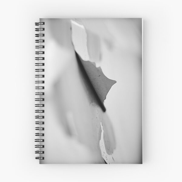 Item preview.