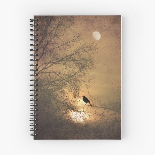 Item preview, Midwinter Sky designed and sold by Zoe Marlowe.