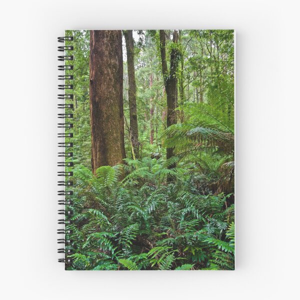Item preview, Gum & Ferns designed and sold by Matt  Streatfeild.