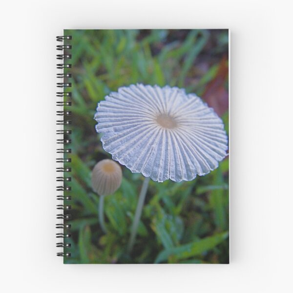 Item preview, Tiny Umbrella. designed and sold by Gabrielle  Hope.
