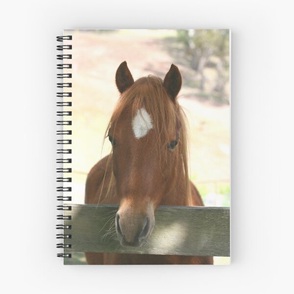Item preview, Welsh Mountain Pony designed and sold by Mereki.