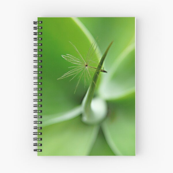 Item preview, Balance designed and sold by ChristinaR.