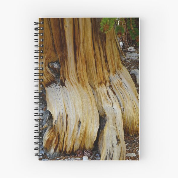 Item preview, Ancient Tree Trunk designed and sold by Devalyn Marshall.