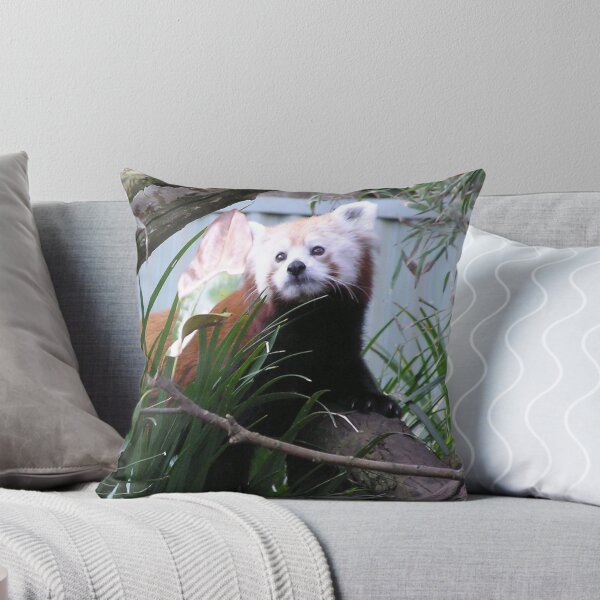 Item preview, Red Panda  designed and sold by ginnymac.