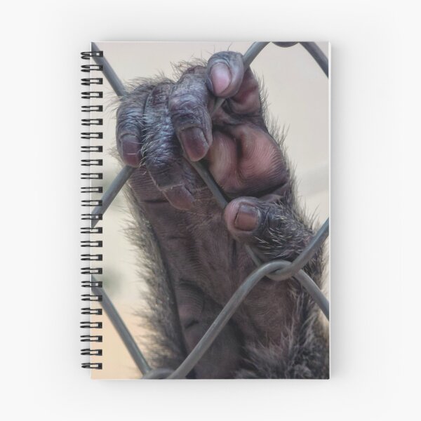 Item preview, Caged designed and sold by Heather Haderly.
