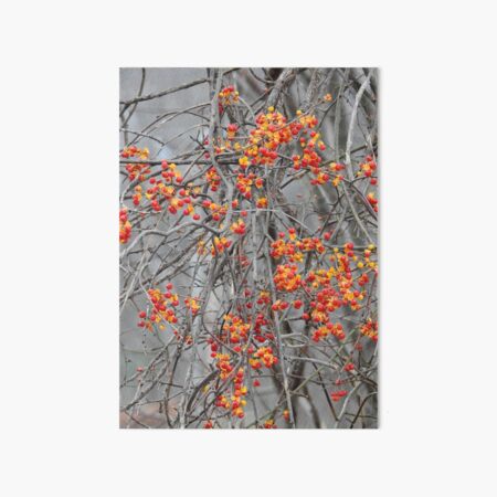 In a Woburn Field Art Board Print
