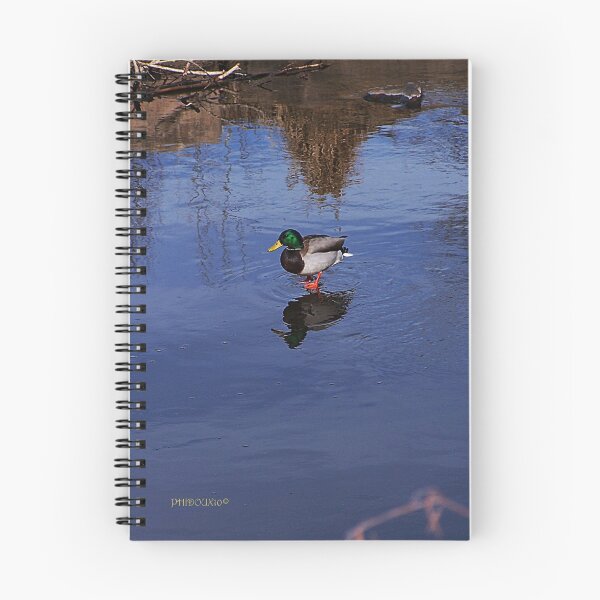 Item preview, walking on the water designed and sold by phidoux.