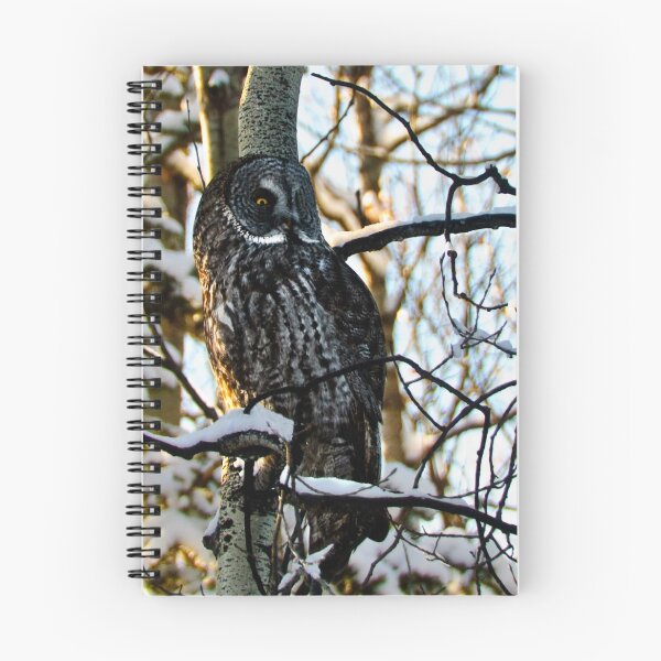 Artikelvorschau, The Owl #2 entworfen und verkauft von peaceofthenorth.