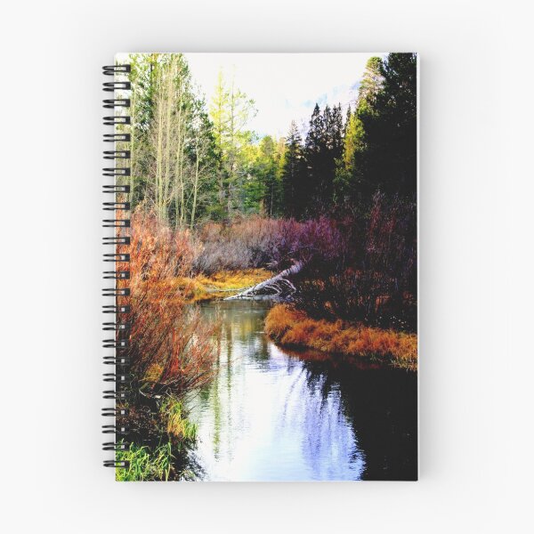 Item preview, "Fall On Bishop Creek" designed and sold by Lynn Bawden.