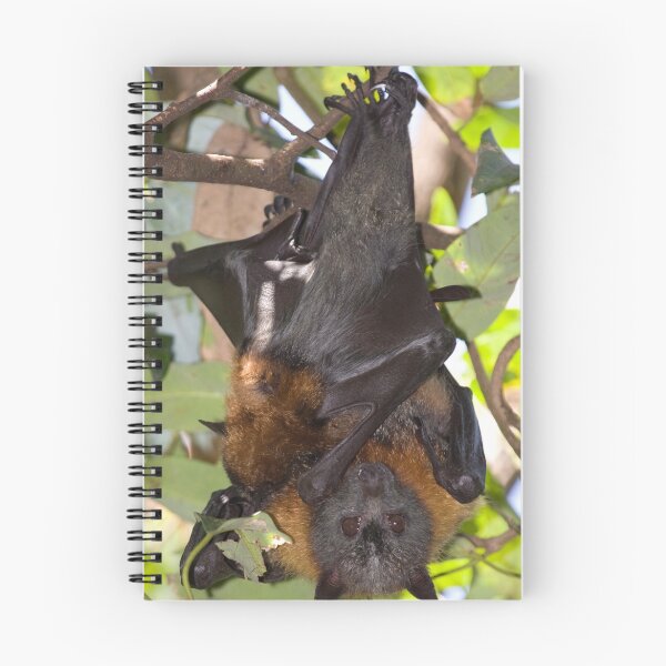 Item preview, Batty Mum designed and sold by Peter Pevy.