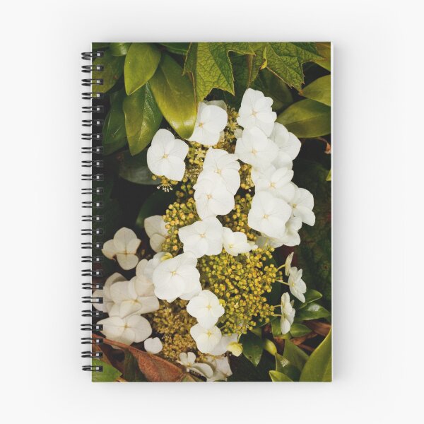Item preview, White Hydrangea designed and sold by Chris Cobern.