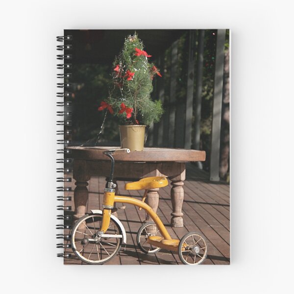 Item preview, Tricycle designed and sold by Kathy Silcock.