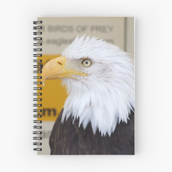 Item preview, Bald Eagle designed and sold by CFoley.