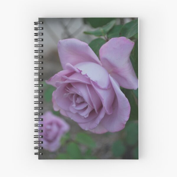 Item preview, Lavender Dream  designed and sold by Lozzar Flowers & Art.