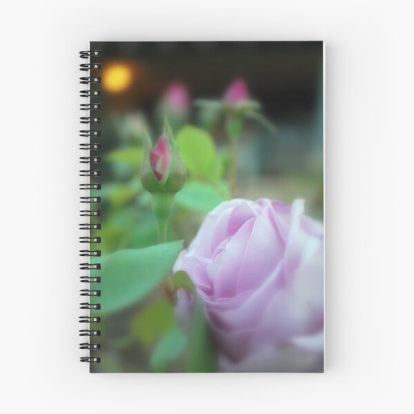 Item preview, Softness in the evening.  designed and sold by Lozzar Flowers & Art.
