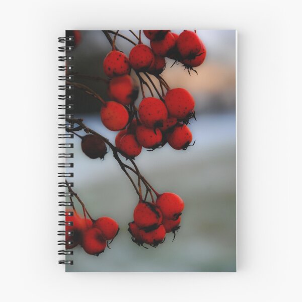 Item preview, Winters wonders designed and sold by Pat Shawyer.
