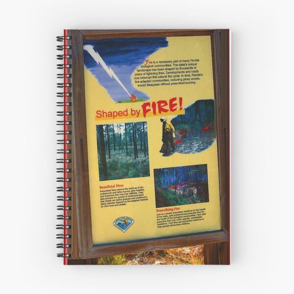 Item preview, Fire designed and sold by glink.