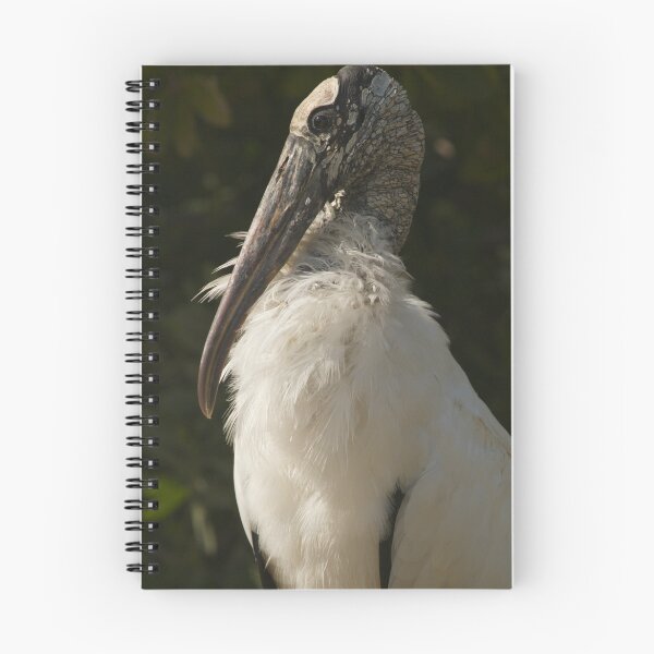 Artikelvorschau, Cold Wood Stork entworfen und verkauft von noffi.
