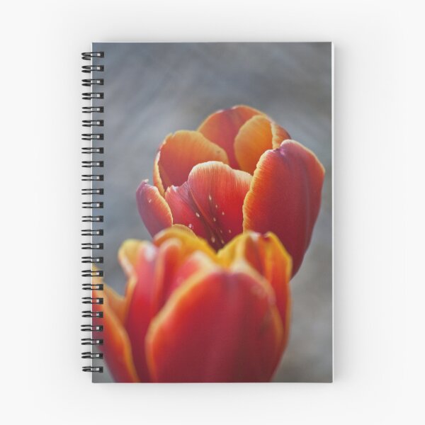 Item preview, Two Tone Tulip Vignette designed and sold by David Bledsoe.