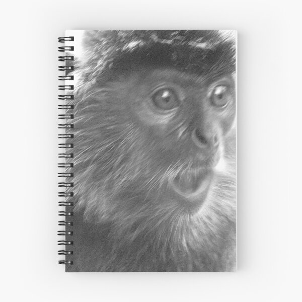 Item preview, Silver Leaf Monkey 1 of 2 designed and sold by justineb.