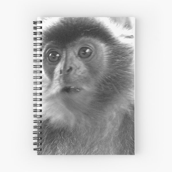 Item preview, Silver Leaf Monkey 2 of 2 designed and sold by justineb.