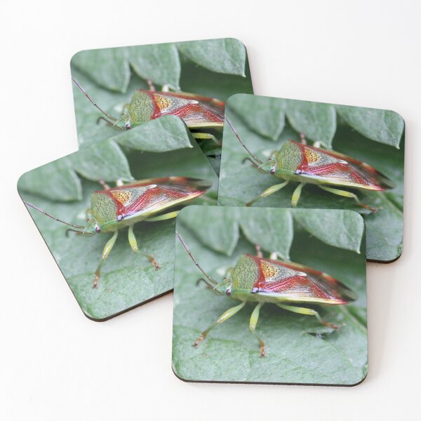 Item preview, Nature's abstract: Birch Shield bug designed and sold by cuprum.