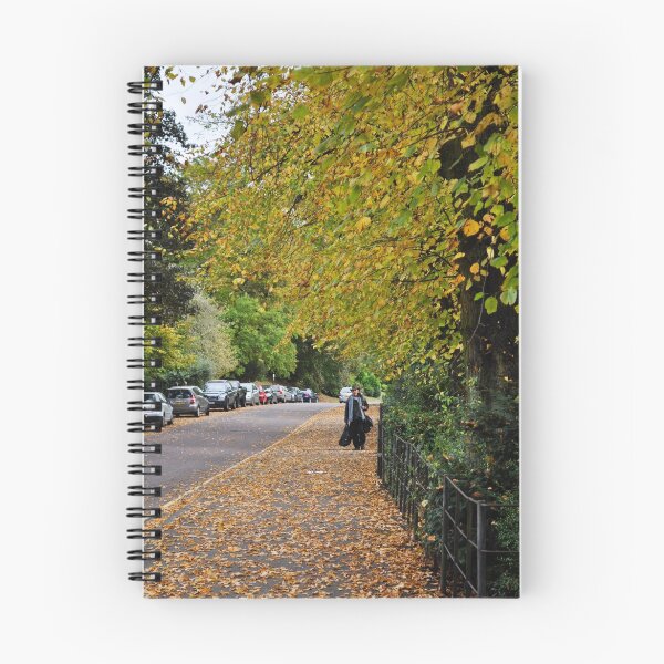 Item preview, autumnal bath, england designed and sold by gary roberts.