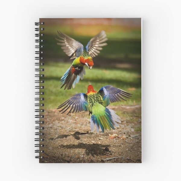 Item preview, Colourful Argument - Sandy Bay, Tasmania designed and sold by offthewall88.