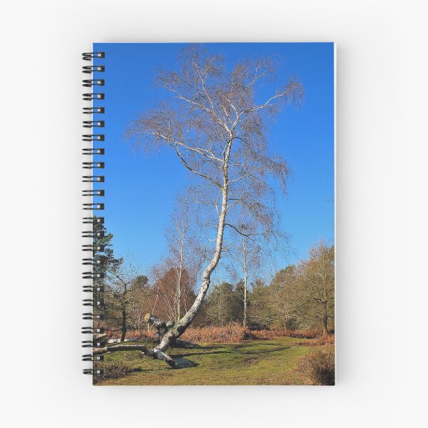 Item preview, Birch in blue designed and sold by relayer51.