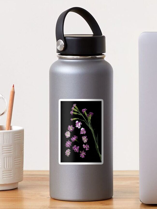 Thumbnail 1 of 3, Sticker, Carnation Drops Dark Floral designed and sold by LindasPhotoArt.