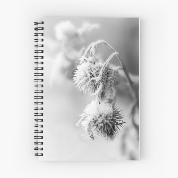 Item preview, Snow Teasel BW designed and sold by AndyV12.