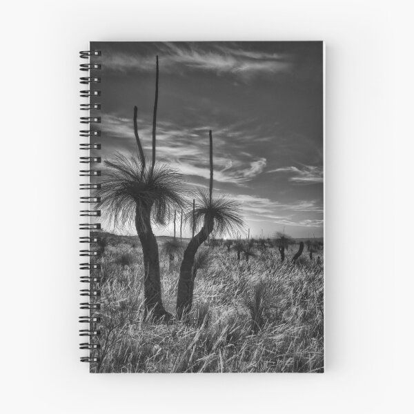 Item preview, Grass Tree Sundowner designed and sold by Jonathan Stacey.