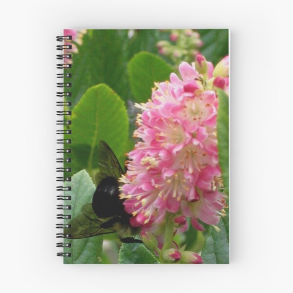 Aperçu de l'œuvre Huge Bee on Pink Bloom créée et vendue par art2plunder.