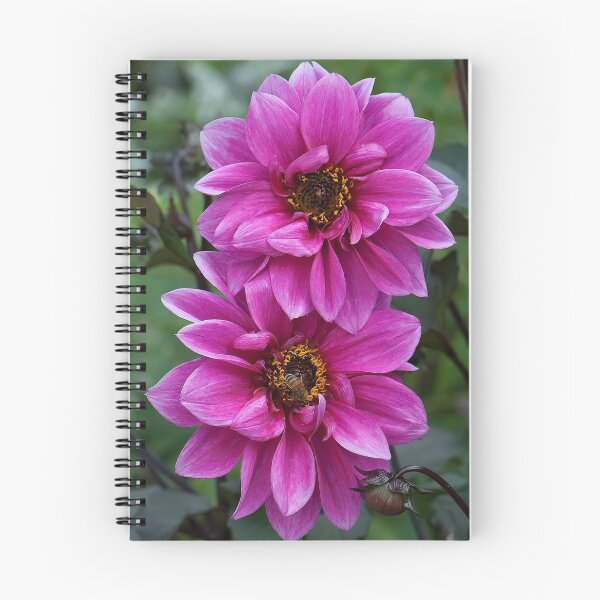 Item preview, Summer Sisters designed and sold by JHRphotoART.