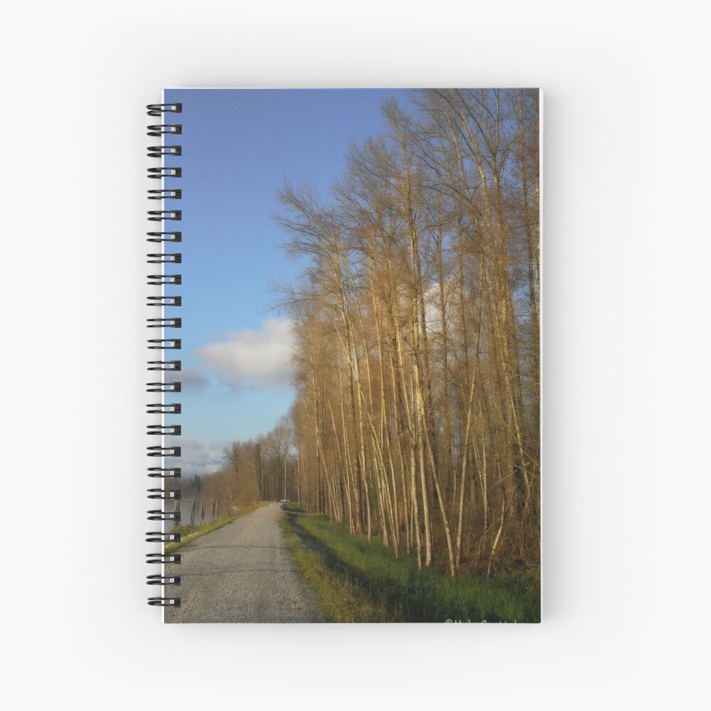Item preview, Spiral Notebook designed and sold by MaluC.