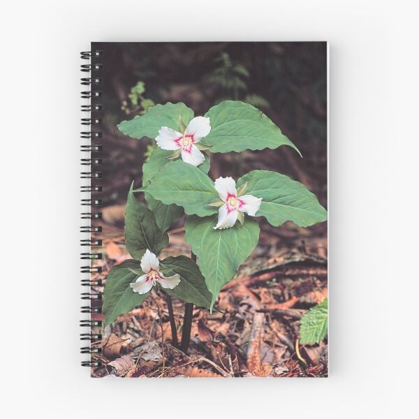 Item preview, PAINTED TRILLIUM designed and sold by Chuck Wickham.