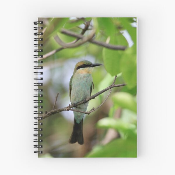 Item preview, Rainbow Bee -Eater, Kakadu designed and sold by David Jamrozik.