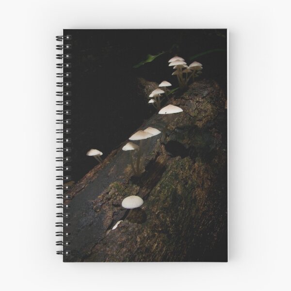 Item preview, Sunlight broken through to the ground designed and sold by Liza Yorkston.