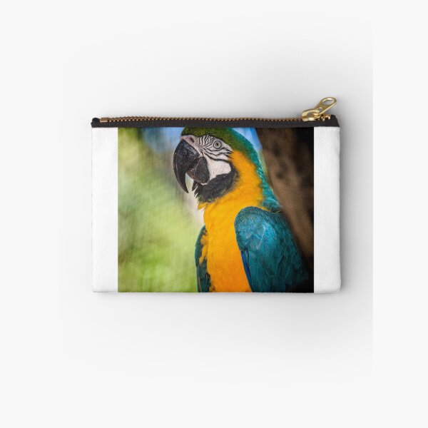 Artikelvorschau, Ara von Parque Das Aves entworfen und verkauft von photograham.